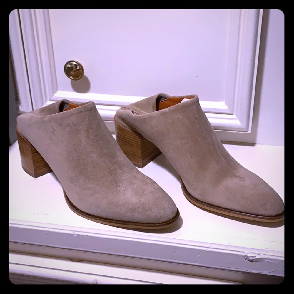 Suede Everlane mules — brand new!